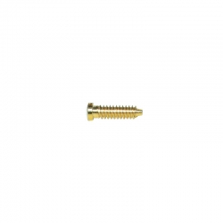 Śrubki, wkręty M1.1 / dł.4,40mm / główka 1,4mm - złote