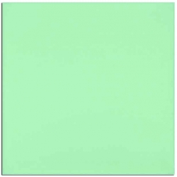 G18 Toraysee jednokolorowa - zielona