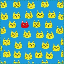 TB3 Toraysee multicolor - yellow cat