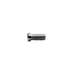 Śrubka M1,5 × 4,0 mm, główka 1,8 mm, srebrna