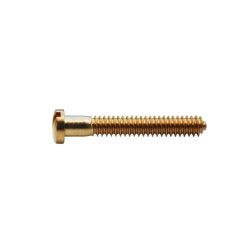 Śrubki, wkrętyM1.4 / dł.10,0mm / gł.2,5mm - złote